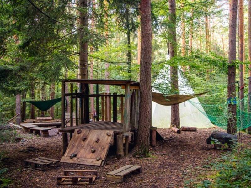 Eine Waldszene zeigt einen Abendteuerspielplatz aus Holz und Seilen, umgeben von hohen Bäumen. 